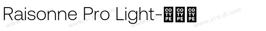 Raisonne Pro Light字体转换